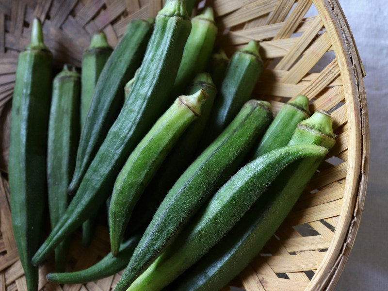 Okra