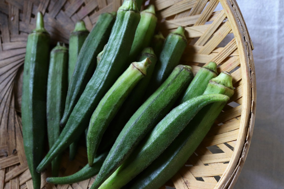 Okra