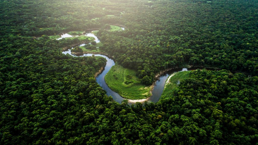 Regenwald, Amazonas, Quinoa gesund