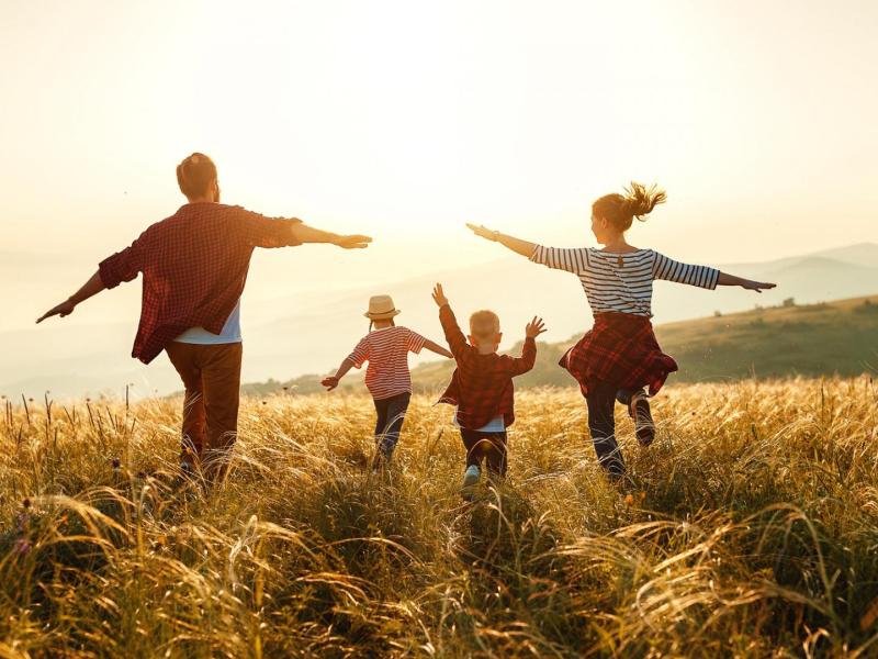 Familie Feld Sonne