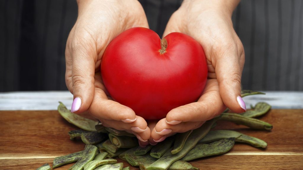 Tomate in Händen herzförmig