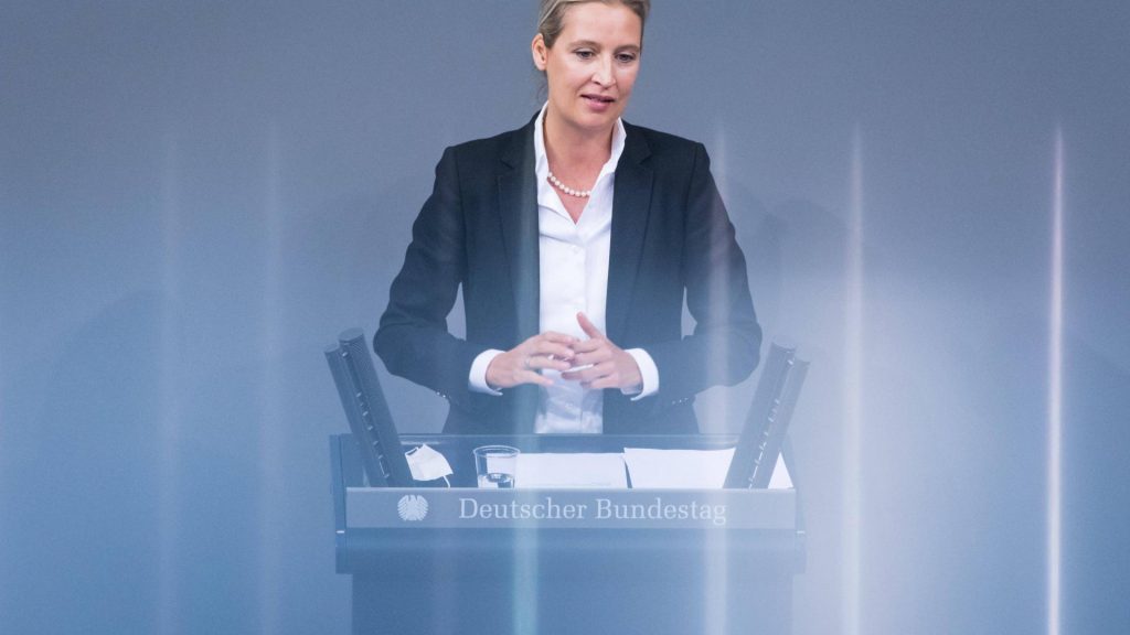 Alice weidel afd