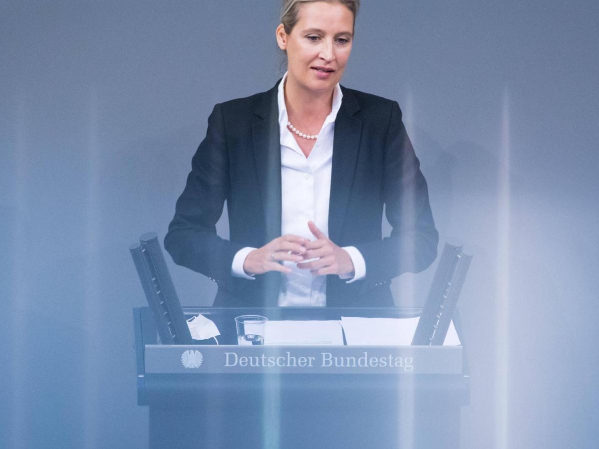 Alice weidel afd