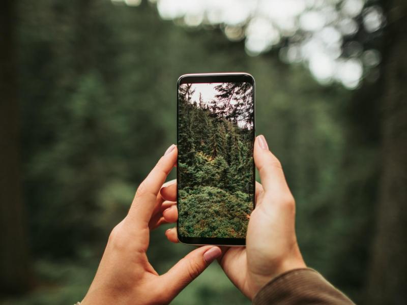 Frau mit Handy im Wald