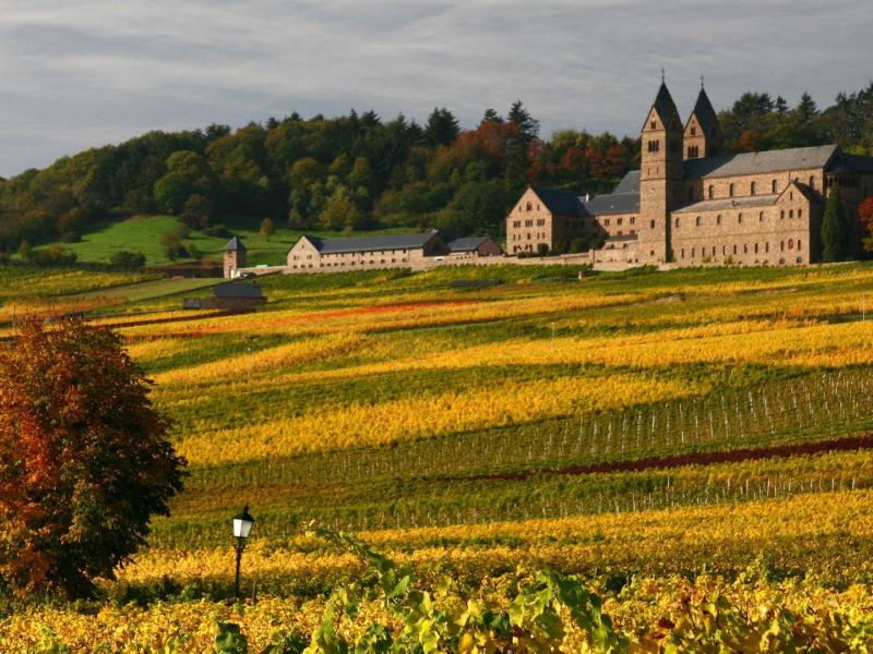 Weinwanderwege Rotwein Hessen