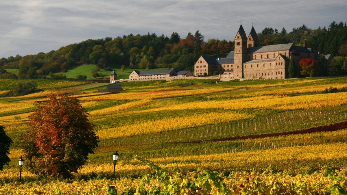 Weinwanderwege Rotwein Hessen