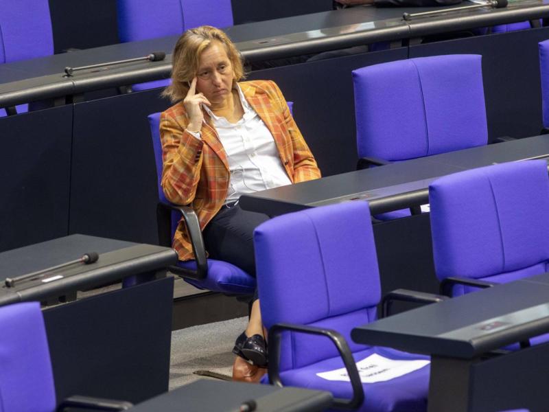 afd beatric von storch politik