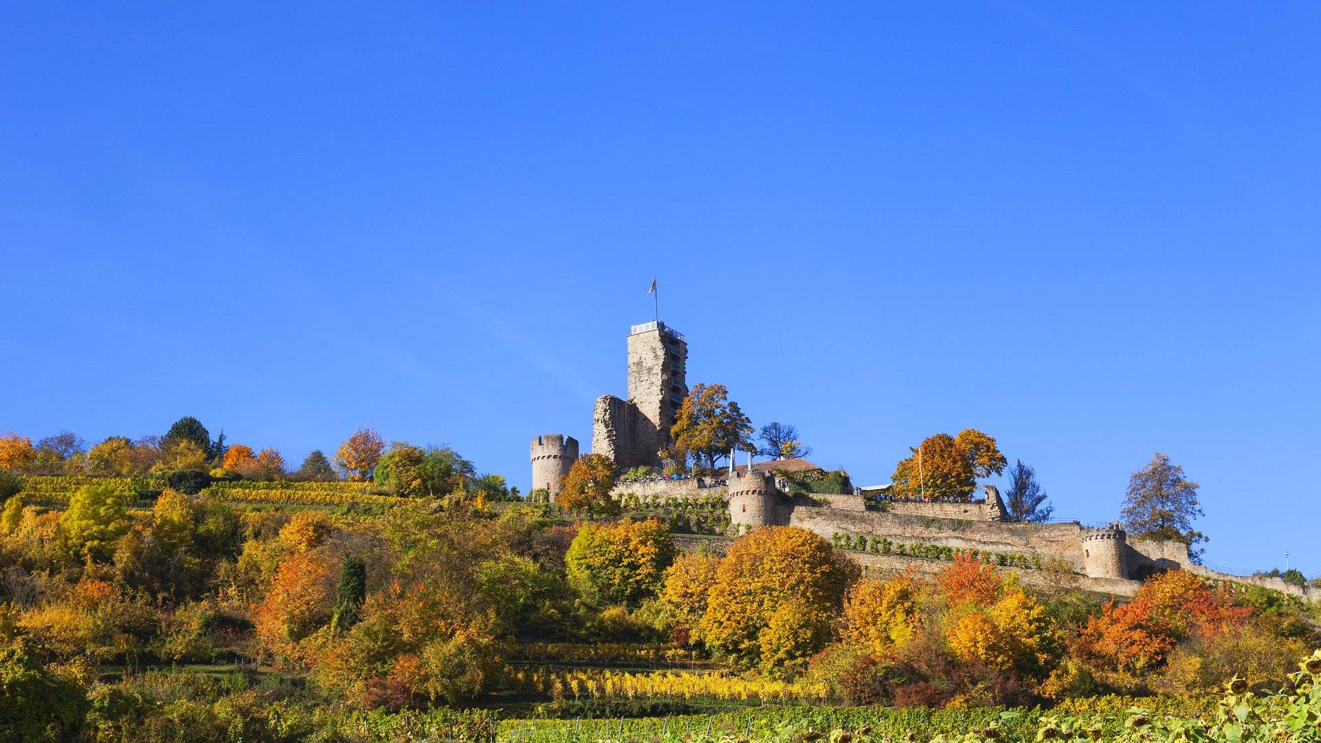 Weinwanderweg Trullo