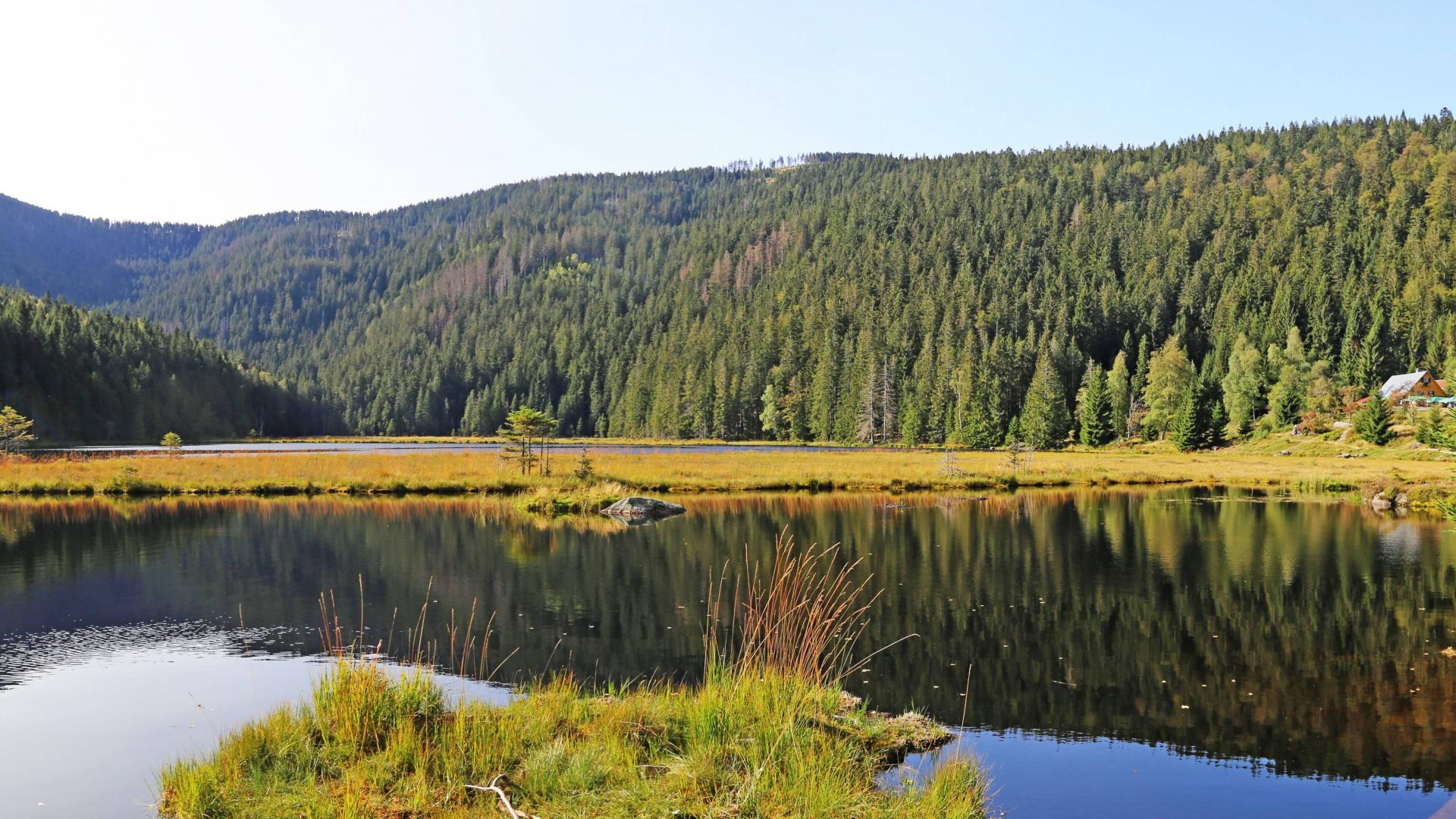 Bayerischer Wald herbst