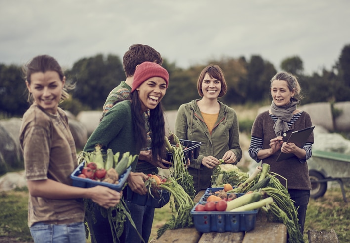 gärtnern gemüse freunde mann frauen lachen feld ernten, glückliches Leben