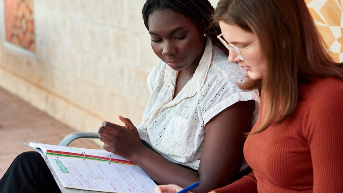 schwarz weiß freundinnen frauen lernen schule uni