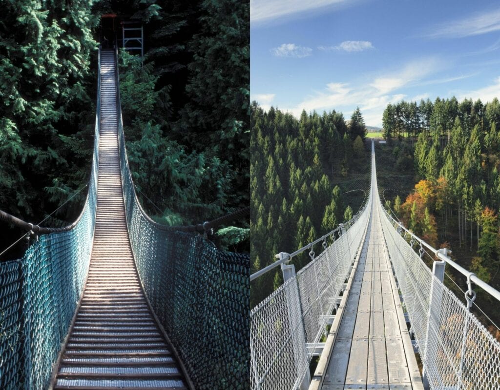 Capilano Suspension Bridge Geierlay