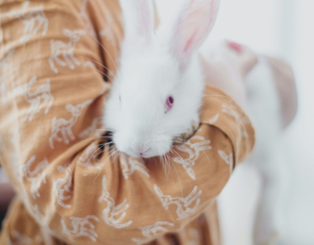 Frau mit Hase auf dem Arm