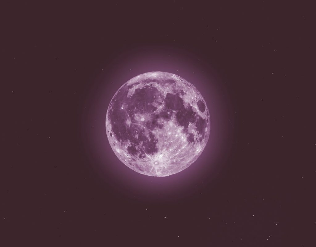 pink moon pinker mond