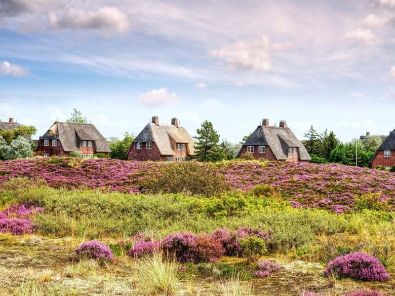 Prägen den Charme der Insel Sylt: Reetdachhäuser. © K I Photography/Shutterstock.com