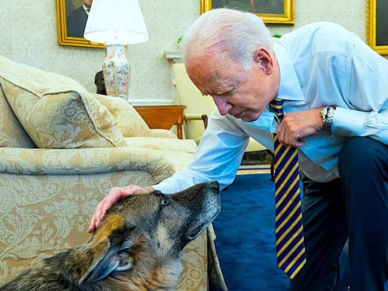 Joe Biden und sein verstorbener Hund Champ.. © imago images/ZUMA Wire