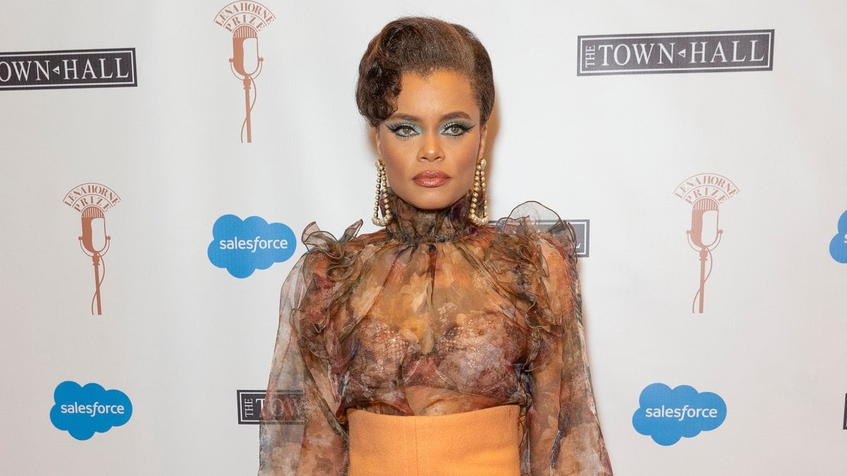 Andra Day bei einem Auftritt in New York.. © lev radin/Shutterstock.com