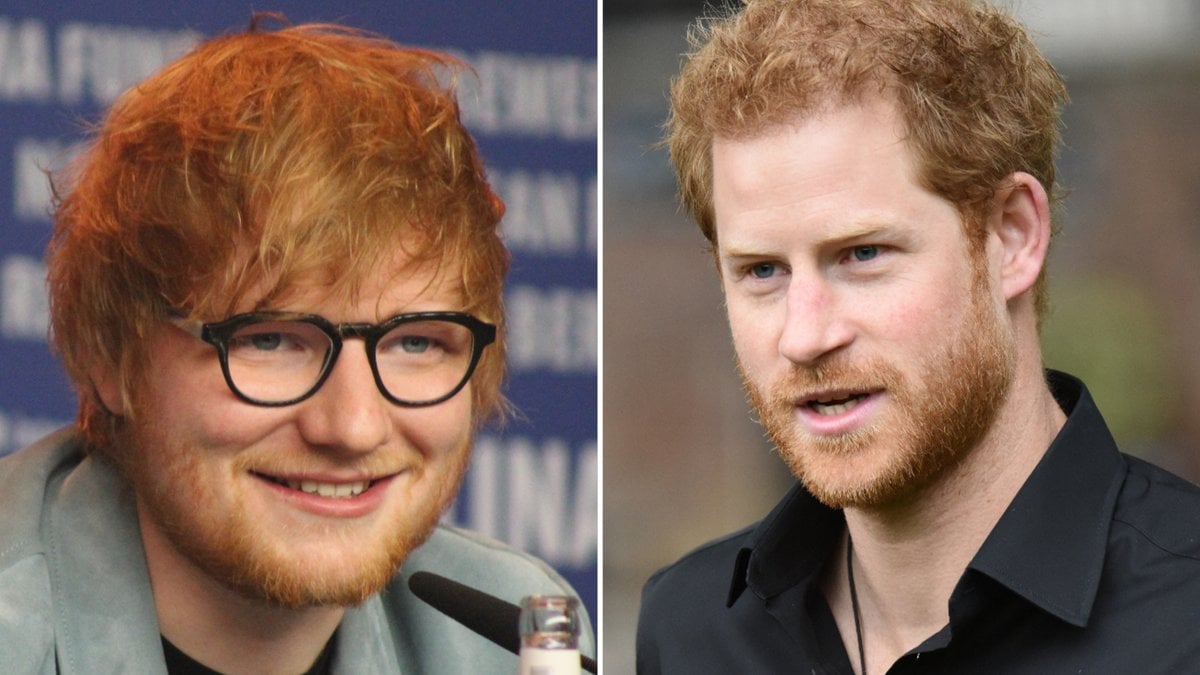 Die Väter Ed Sheeran und Prinz Harry sprachen bei den WellChild Awards auch über Kindererziehung.. © [M] Bart Lenoir/Shutterstock.com / T.O.Pictures/Shutterstock.com