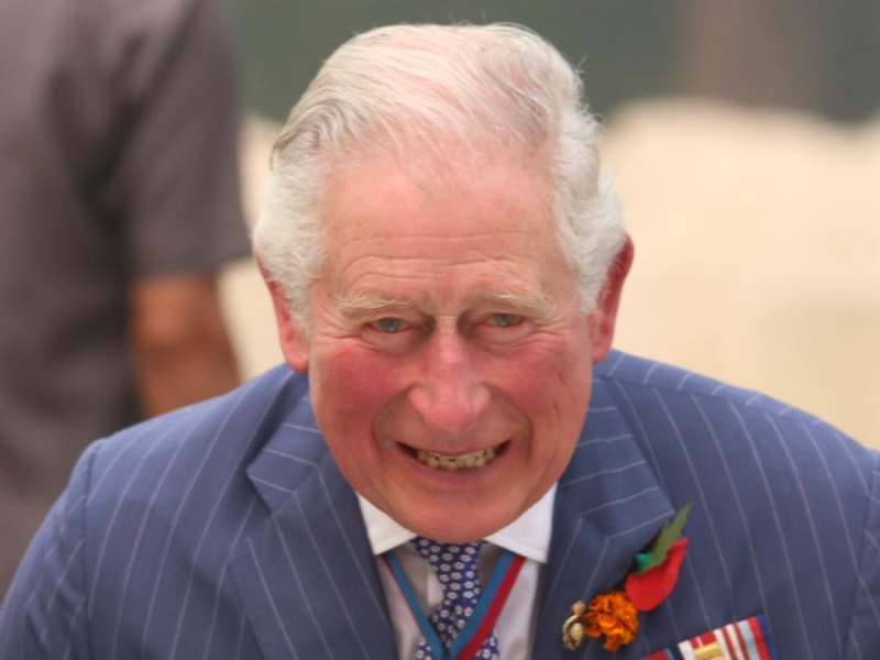 Prinz Charles hat seine Lieblingssongs verraten.. © Madhuram Paliwal/Shutterstock.com