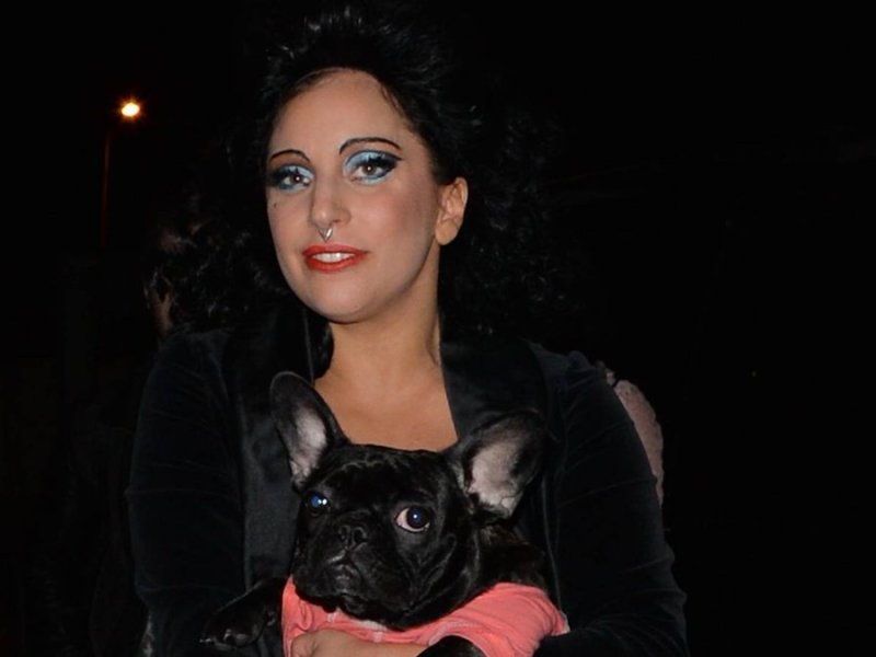 Lady Gaga mit einem ihrer geliebten Hunde.. © imago/Matrix