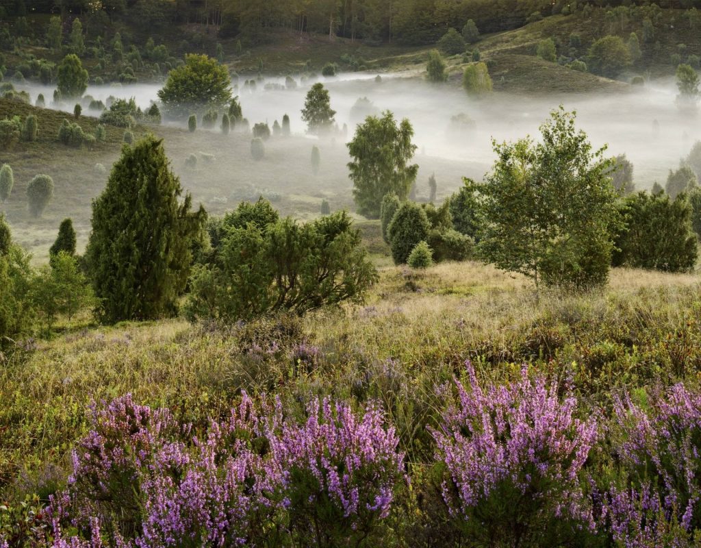 Lüneburger Heide mystische Orte Deutschland