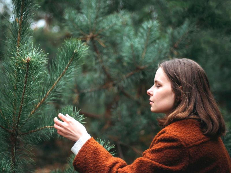 nachhaltiger Weihnachtsbaum