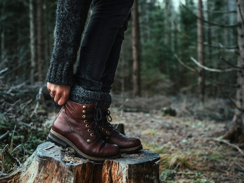 Lederschuhe auf Baumstumpf