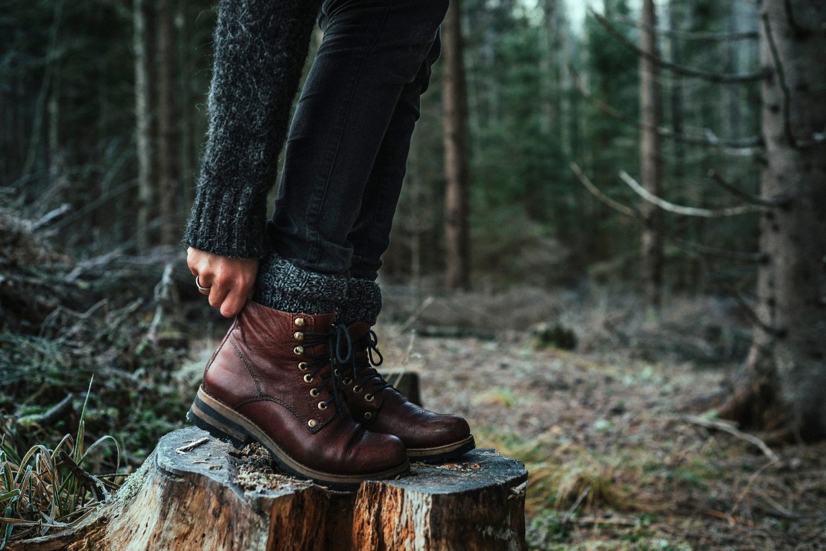 Lederschuhe auf Baumstumpf