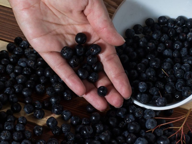 Hand, die Beeren zeigt