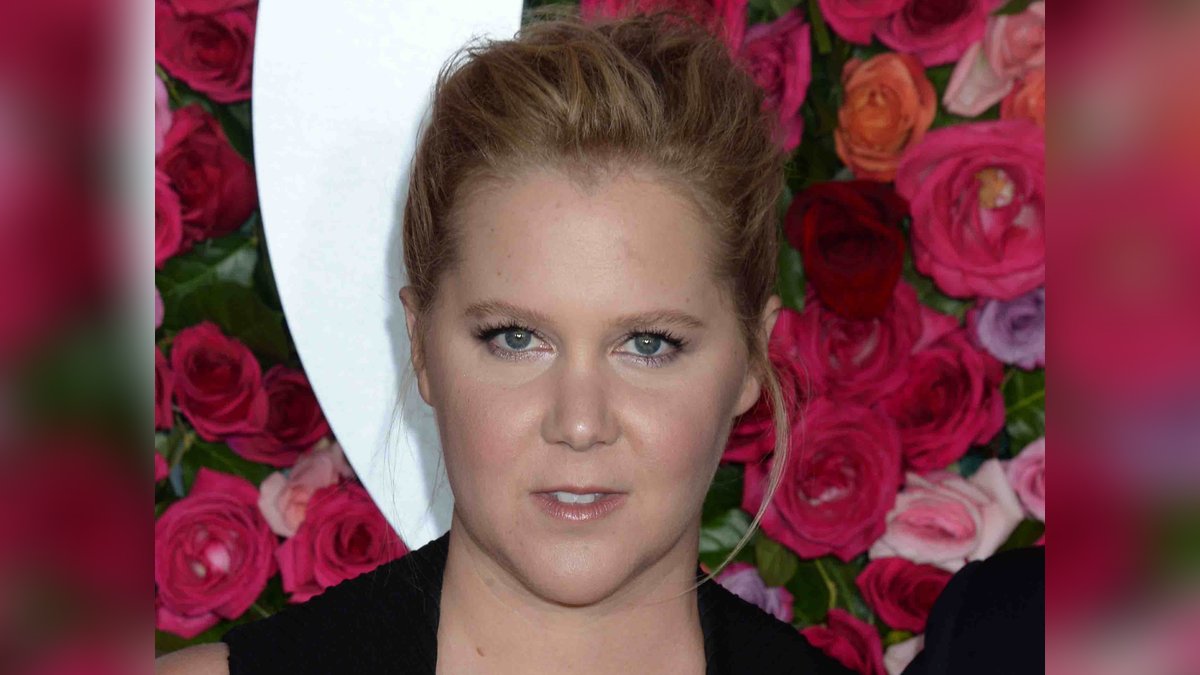 Komikerin Amy Schumer zeigte sich großzügig.. © Dennis Van Tine/starmaxinc.com/ImageCollect