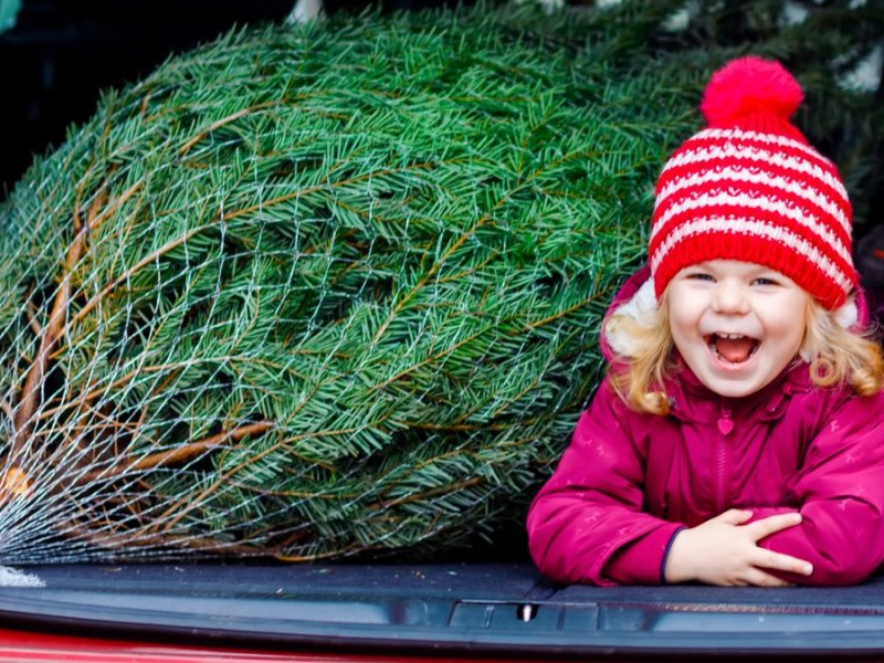 Freude pur beim Weihnachtsbaumkauf - wenn man ein paar Tipps beachtet.... © Irina Wilhauk/Shutterstock