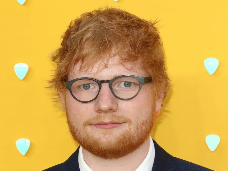 Ed Sheeran hat ein Herz für Tiere und die Natur.. © Keith Mayhew/Landmark Media/ImageCollect