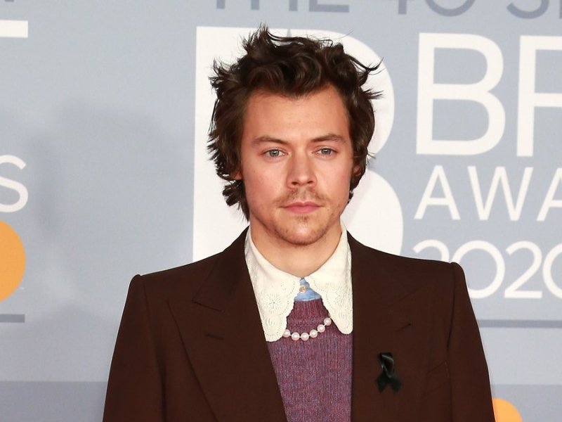 Harry Styles soll seit etwa einem Jahr mit Olivia Wilde zusammen sein.. © Cubankite/Shutterstock.com