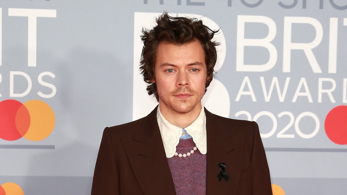 Harry Styles soll seit etwa einem Jahr mit Olivia Wilde zusammen sein.. © Cubankite/Shutterstock.com