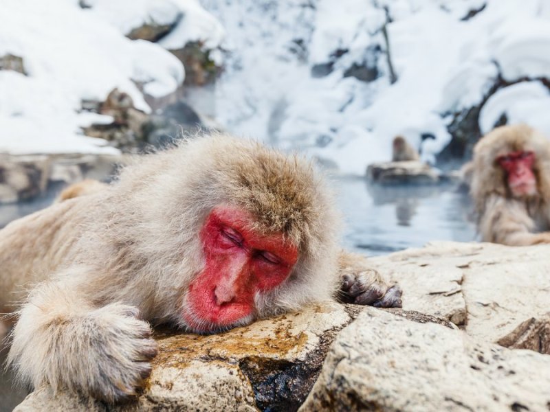 Ein heißes Bad hilft immer.. © BlueOrange Studio/Shutterstock.com