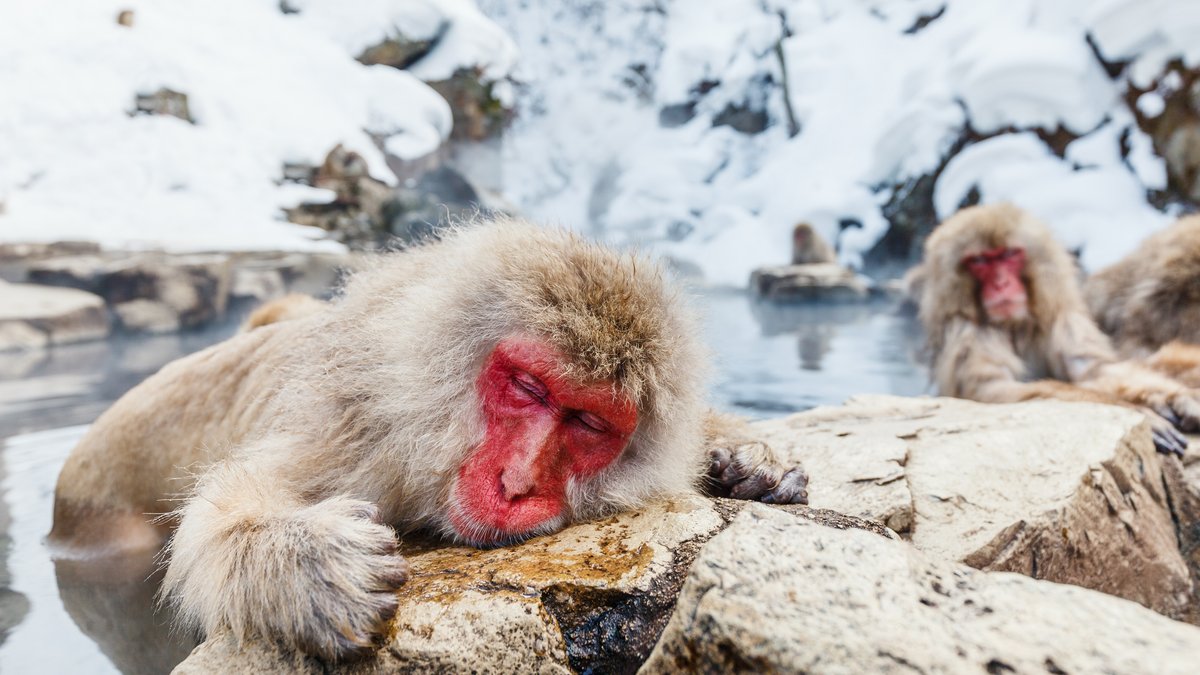 Ein heißes Bad hilft immer.. © BlueOrange Studio/Shutterstock.com