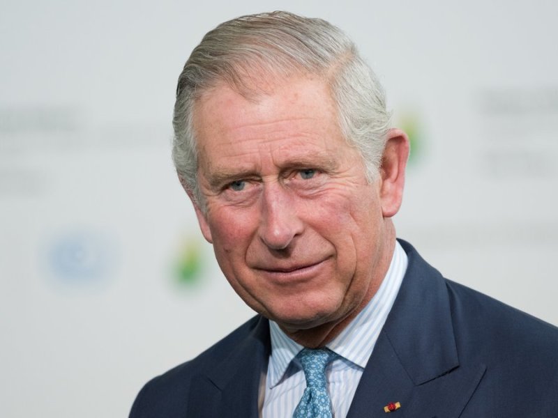 Thronfolger Prinz Charles überrascht mit einem Auftritt im britischen Reality-TV.. © Frederic Legrand - COMEO / Shutterstock.com