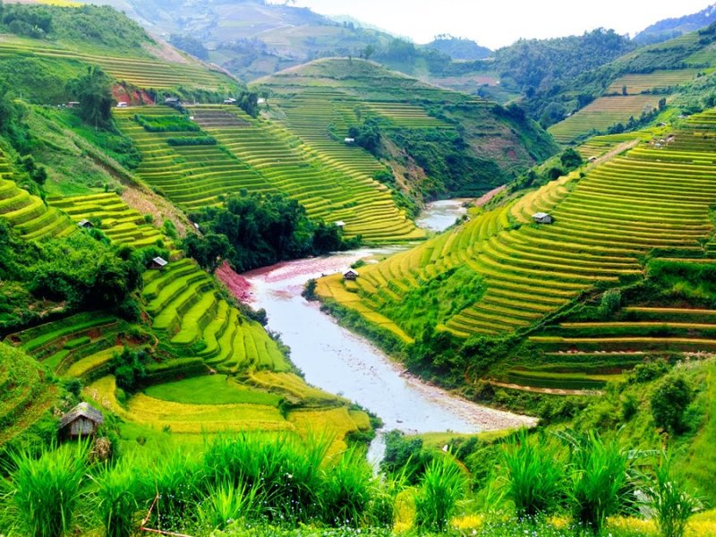 Vietnam ist eine Perle Asiens.. © John Bill/Shutterstock.com