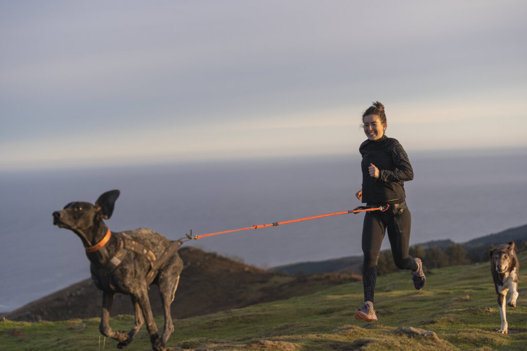 Frau Hund Joggen