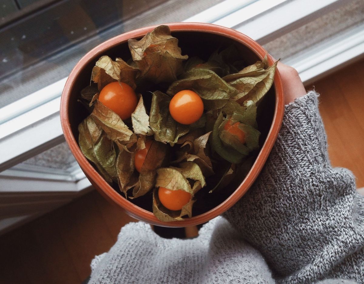 Physalis gesund