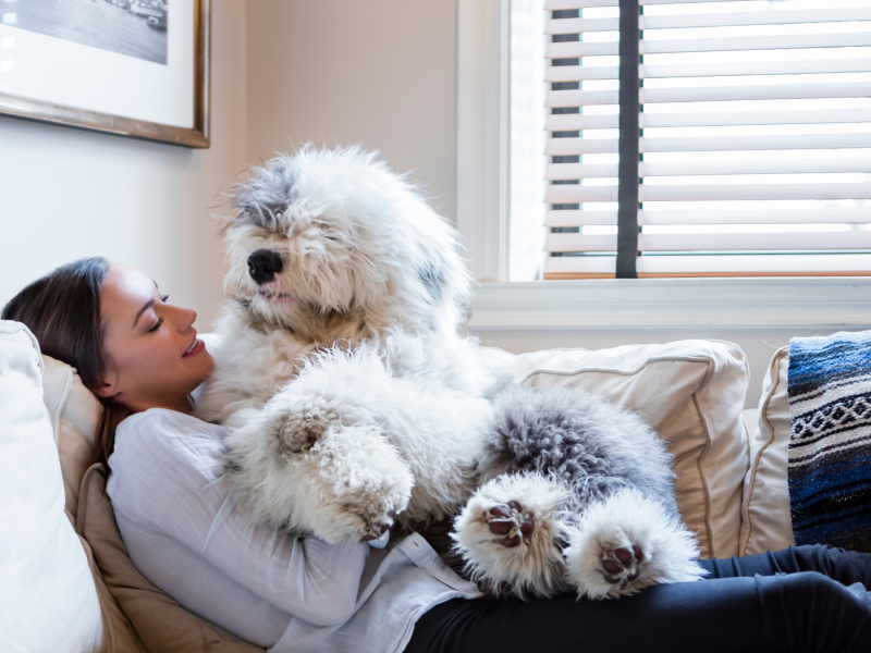 Frau liegt mit wuscheligen Hund auf der Couch.