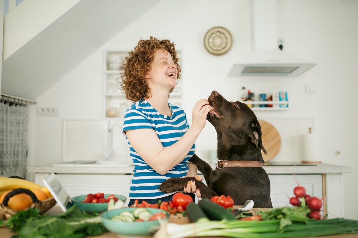 Frau gibt Hunde Gemüse