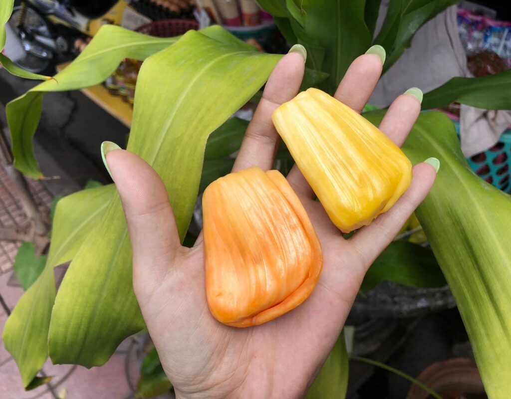 Frau Jackfruit Hand