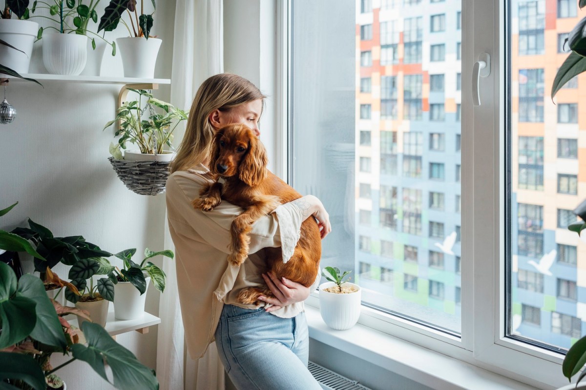 Hund mit Frau am Fenster