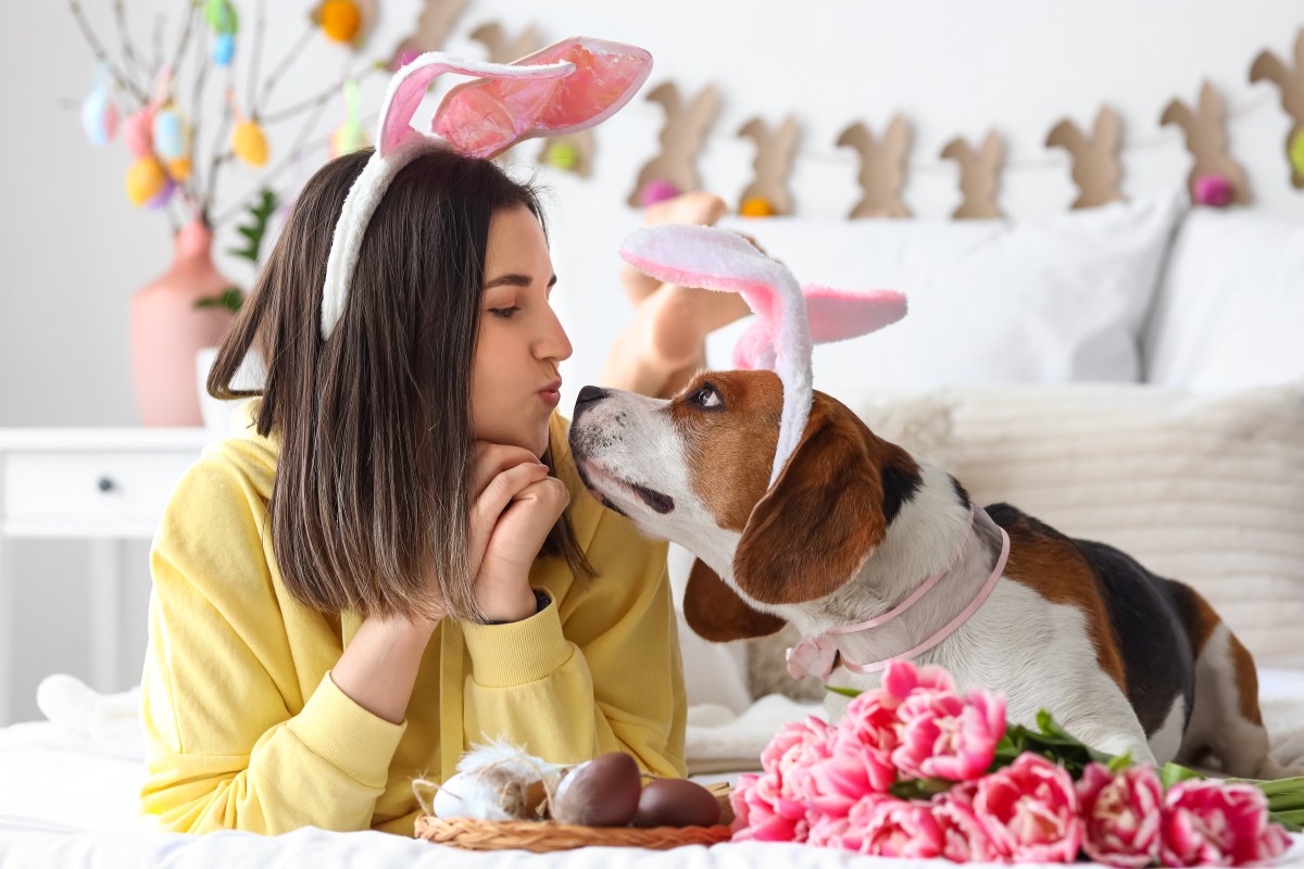 Ostern mit Hund