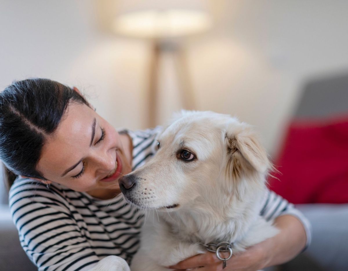 Vertraut mir mein Hund