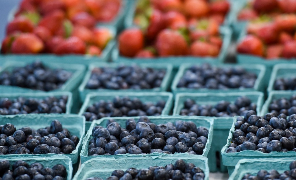 heidelbeeren wirkung