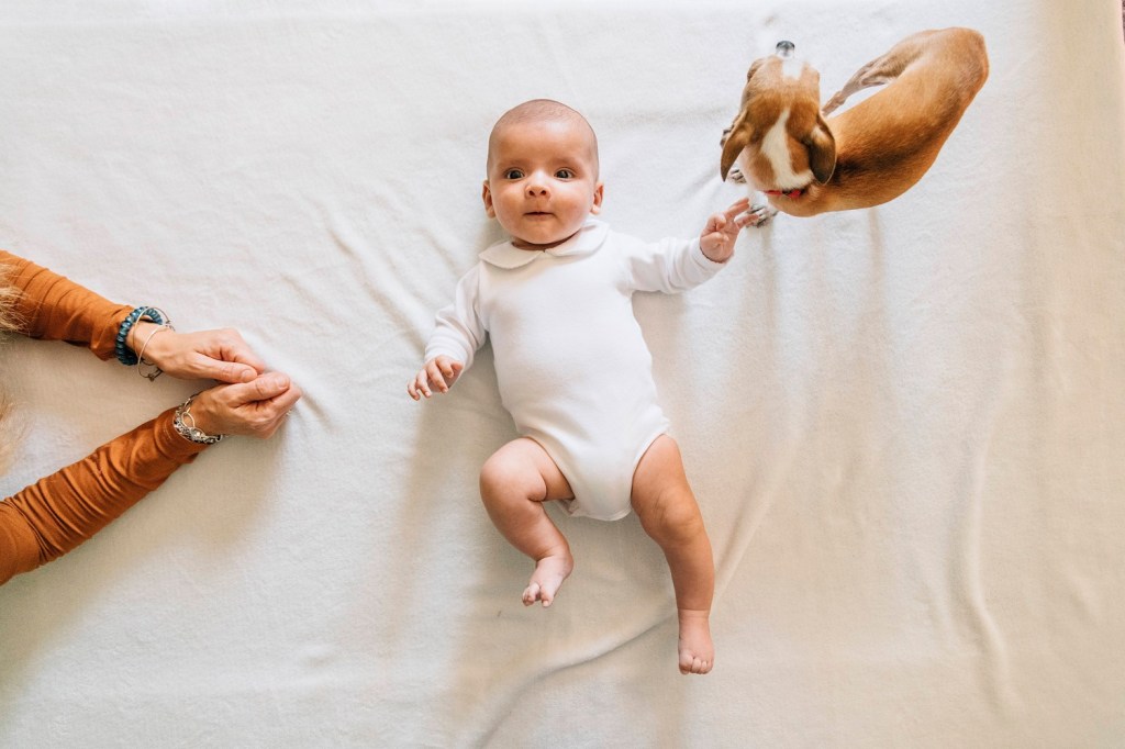 Hund mit Baby