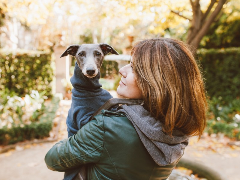 Frau mit Italian Greyhound