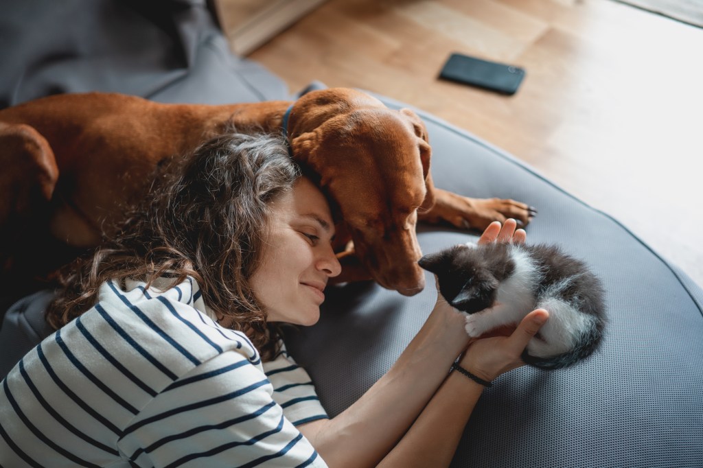 Frau mit Katzen und Hund